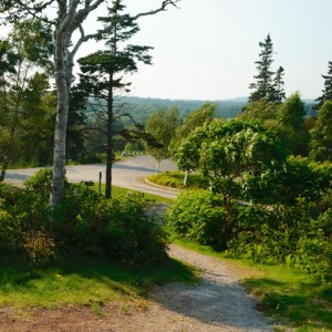 Trail - Fundy Bay Park