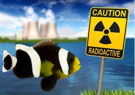 Fish radioactivity, sign and nuclear power plant