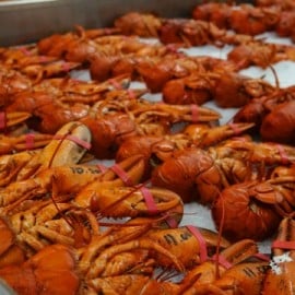 Lobsters NB