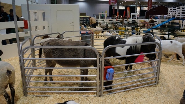 The Royal Agricultural Winter Fair in Toronto